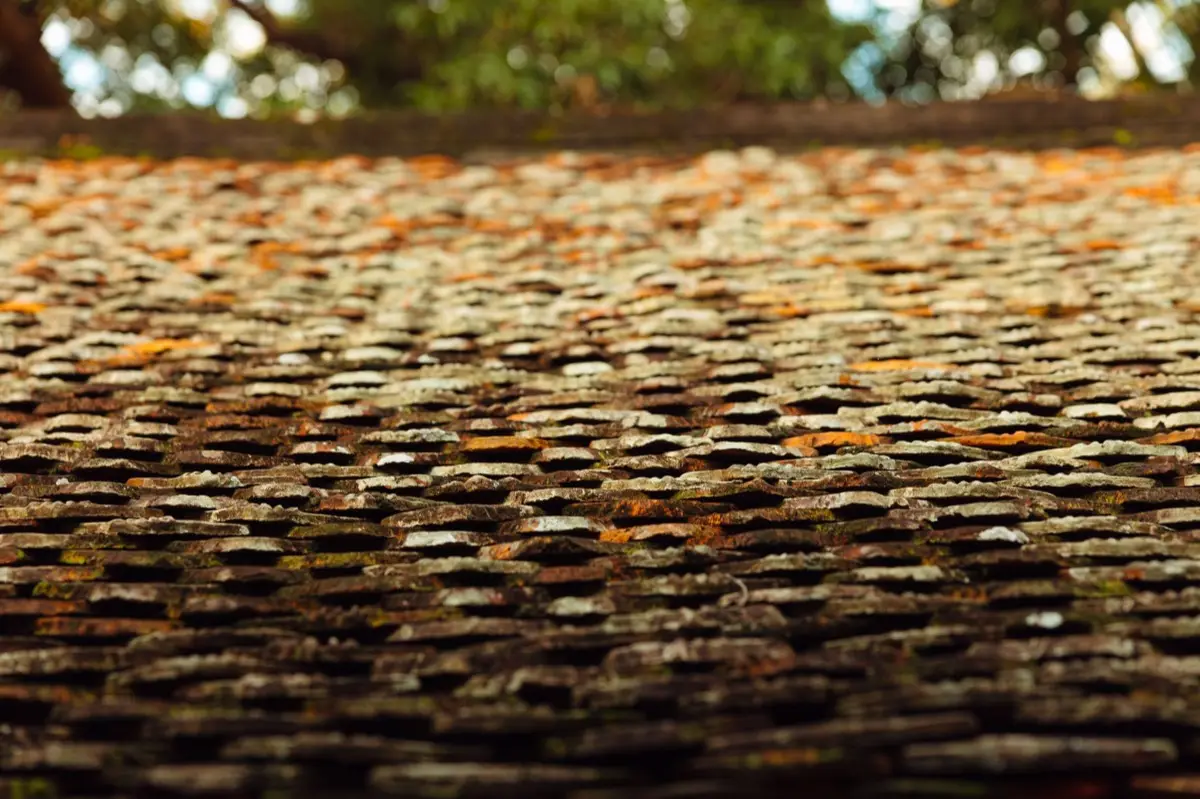 Aging shingle roof with moss growth and granule loss in Council Bluffs, IA